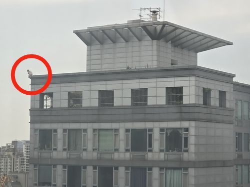 Cô gái lang thang trên nóc tòa nhà 19 tầng ở Seoul, ngày 2/5. Ảnh: Chosun