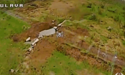 Settop-1747294432-8348-1747294974.gif