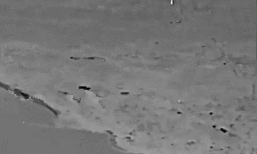 Sub01-1748572750-2020-1748572830.gif