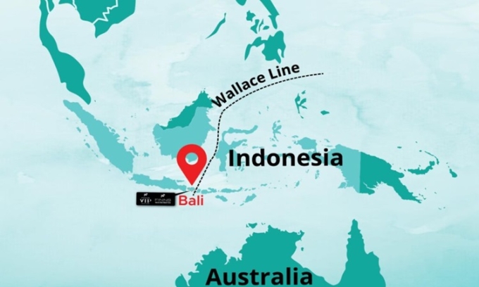 Đường Wallace chạy qua Indonesia.
