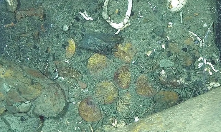 VNEGold-1749529290-4403-1749529333.jpg