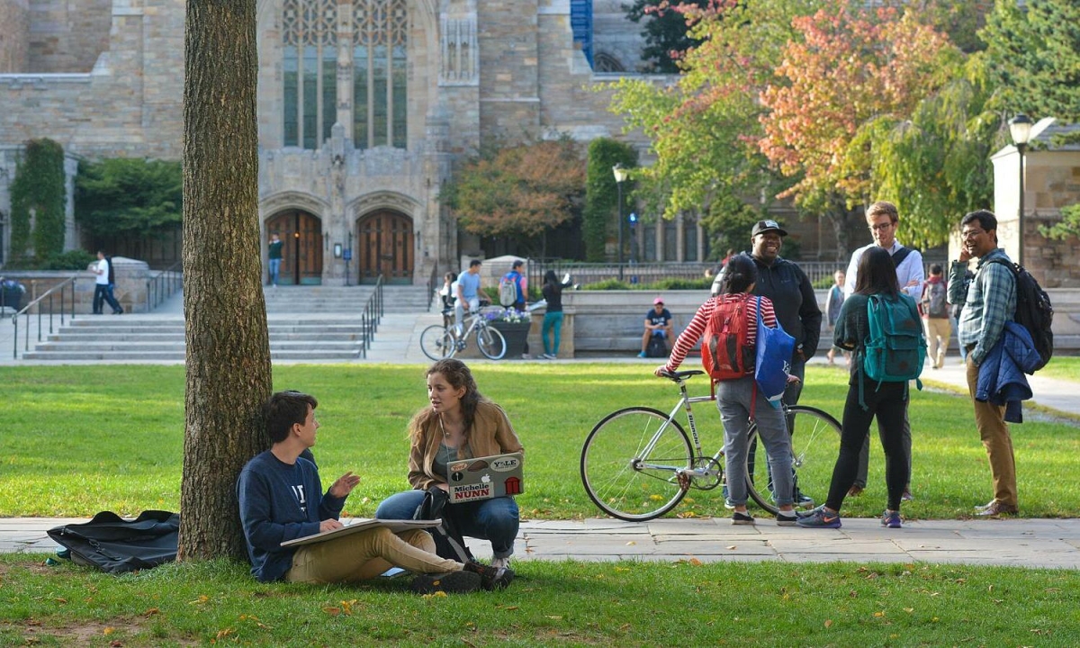 da-i-ho-c-yale-1748392537-2463-5619-6439-1748392643.jpg