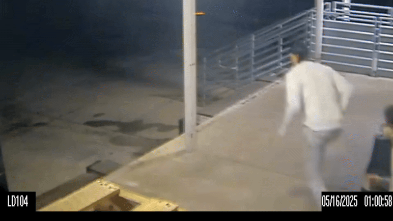 ezgif-com-video-to-gif-convert-8630-5358-1747449158.gif