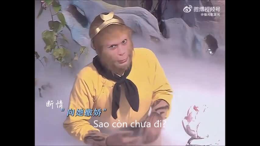Sự Kết Hợp Giữa Tôn Ngộ Không và Lâm Đại Ngọc