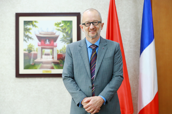 Chuyên gia trong lĩnh vực giáo dục