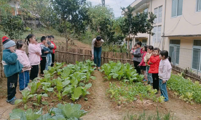 Một giờ học thực tế ngoài vườn rau ở trường Mầm non Lạc Sỹ, huyện Yên Thủy, tỉnh Hòa Bình. Ảnh: Nhân vật cung cấp