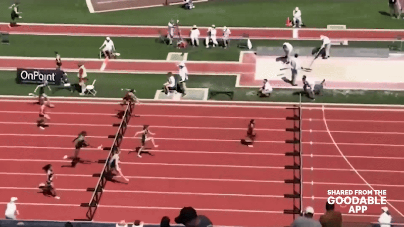 run-1749491807-3411-1749491820.gif