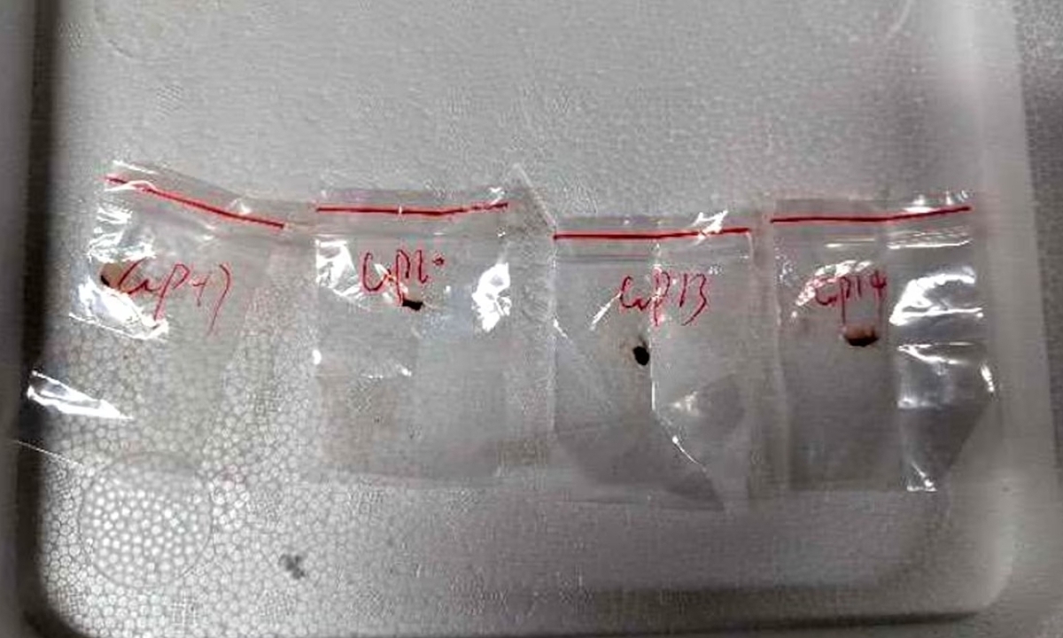 smuggling-pathogens-ht-jt-2506-3629-4523-1749011119.jpg