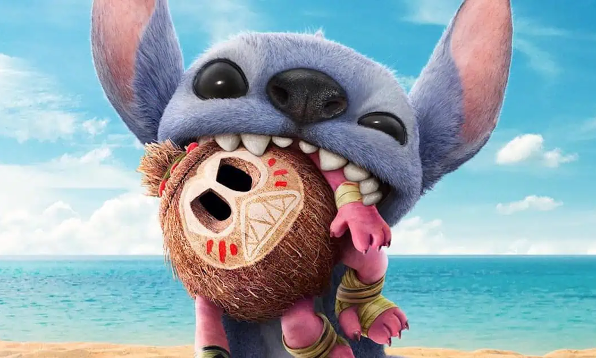 stich-1747276828-1747276835-17-5764-3376-1747276895.png